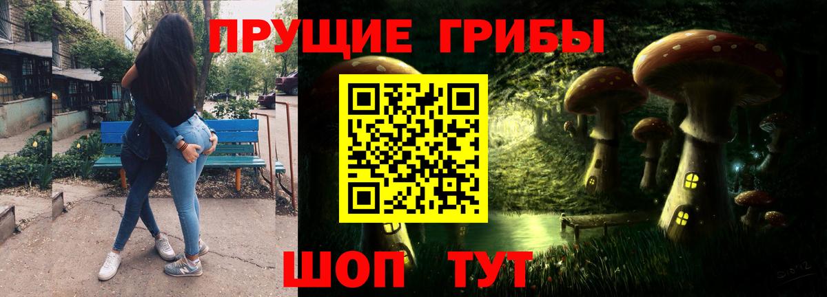 Галлюциногенные грибы Magic Shrooms  Вход с VPN  Галлюциногенные грибы MAGIC MUSHROOMS  Карачаевск 